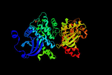 Obraz na płótnie Canvas TAOK2, an enzyme has been shown to interact with MAP2K6 and MAP2K3. 3d rendering
