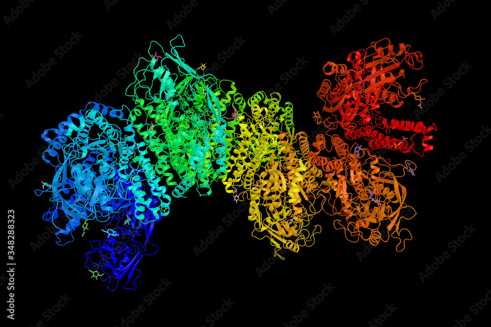 Canvas Prints Transferrin receptor, a carrier protein for transferrin. Needed for the import of iron into the cell and is regulated in response to intracellular iron concentration. 3d rendering