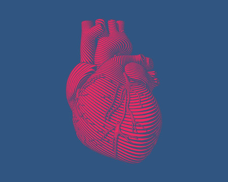 Colorful Human Heart Stylized Graphic Illustration