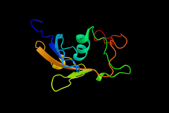 Ubiquitin-like protein 3, a protein that in humans is encoded by the UBL3 gene. In melanocytic cells UBL3 gene expression may be regulated by MITF. 3d rendering