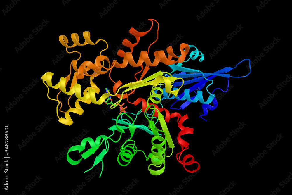 Poster Neural Wiskott-Aldrich syndrome protein, involved in transduction of signals from receptors on the cell surface to the actin cytoskeleton. 3d rendering