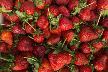 Strawberries background. Strawberry. Food background. summer time