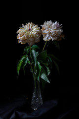 pink and white flower