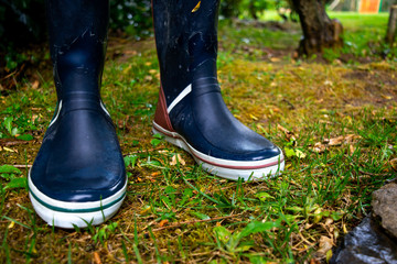 Rain Boots in the Garden at Rainy Day