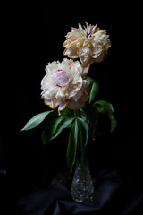 pink and white flower