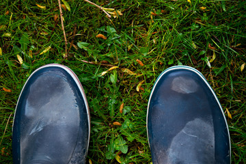 Rain Boots in the Garden at Rainy Day