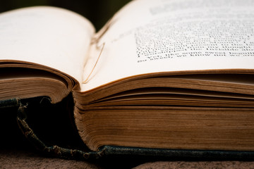 Old Book with Visible Text