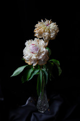 pink and white flower