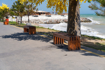 Empty beach bench quarantine, no people.