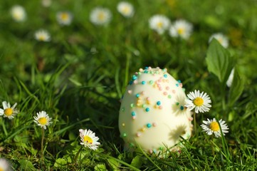 Ein Ei aus weißer Schokolade mit bunten Zucker Streuseln inmitten einer grünen Wiese im Frühling bei Sonnenschein mit Gänseblümchen, Ostern, Osterei