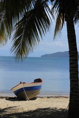 Fototapeta na wymiar bote mar palmera paisaje