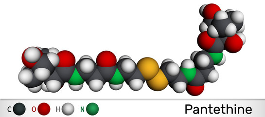 Pantethine, сo-enzyme pantethine, bis-pantethine molecule. It is is dimeric form of pantetheine. Is supplement for lowering blood cholesterol.  Molecular model