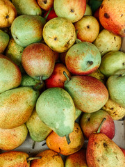 ripe fruit sweet pears for eating as a background