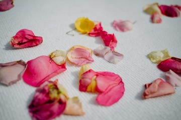 photo of flower petals on a table