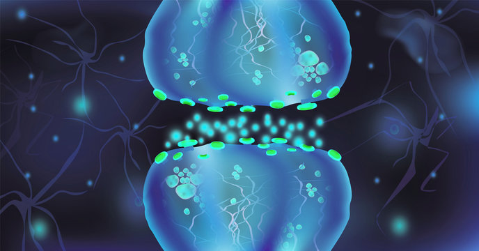 Signaling in the brain. Neural connections in the brain form thoughts, concept learning. Transmission of impulses in a living organism. Neural isolated on blue background. Synapse and Neuron cells.