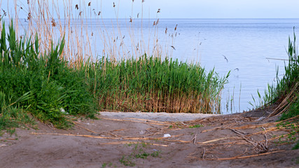 Quiet and smooth (the coast of the Taganrog Bay)