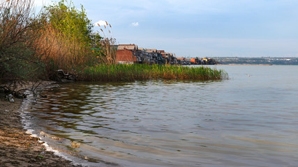 Obraz premium Quiet and smooth (the coast of the Taganrog Bay)