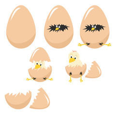Vector illustration of Little chicken in egg broken damaged shell