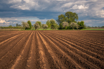 Plowed field at sunny spring day in Czersk, Poland