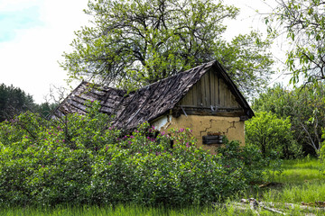 Fototapeta na wymiar Old, abandoned house in the village
