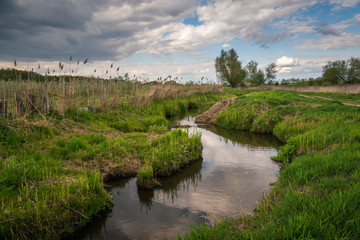 Fototapeta na wymiar Cedron river in Czersk, Poland