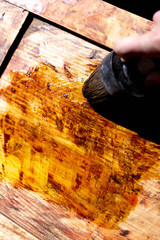 wood processing; restoration with varnish; brush paints a board from solid wood.