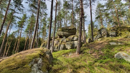 Stein wald Stone Wackelsteine Findlinge Ruhe 