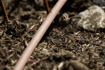 close up of a shovel in the ground