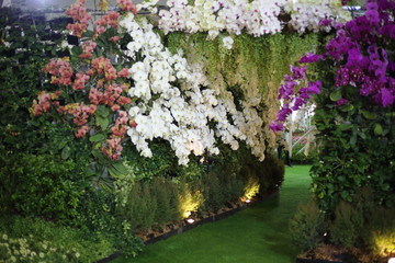 Flower tunnel in Rayong, Thailand