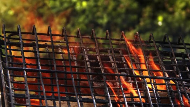 Wooden And Coal Fire Burning Behind Grid