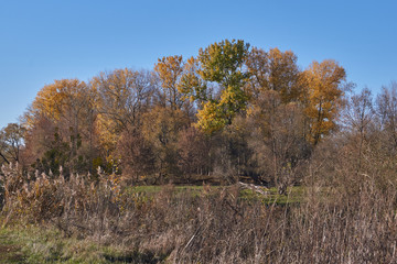 Fototapeta premium Walk along the bank of the river Snezhet.