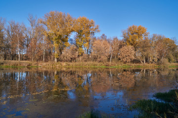 Fototapeta na wymiar Walk along the bank of the river Snezhet.