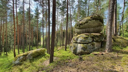 Stein wald Stone Wackelsteine Findlinge Ruhe 
