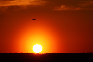 Sunset on orange sky, setting sun and airplane above the forest. Picturesque landscape for background