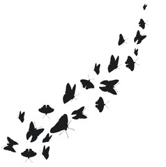 Flying butterflies isolated on white background.Butterflies in Motion. Banner with butterflies. Icon set. 3d illustration