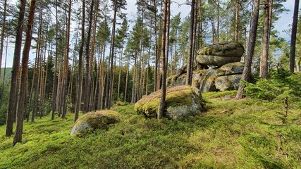 Stein wald Stone Wackelsteine Findlinge Ruhe 