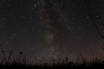Milky way beyond grass