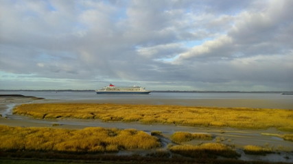 Fototapeta na wymiar a cruise ship is navigating through the westerschelde sea along a marsh with grass and a muddy channel towards antwerp at a beautiful morning in springtime with a blue cloudy sky