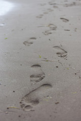 footprints on the beach