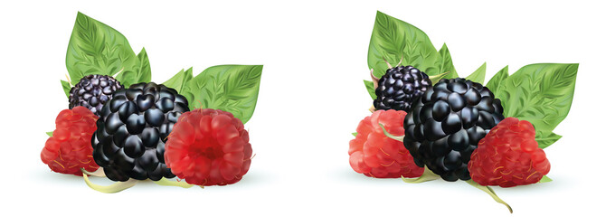 Realistic Blackberry and raspberry isolated on white background. Set fresh, summer berry with green leaf. Black and red raspberry. 3d illustration
