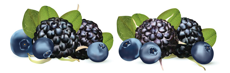 Realistic Blackberry and Blueberry isolated on white background. Set fresh, summer berry with green leaf. Black raspberry and blueberry close up. 3d illustration