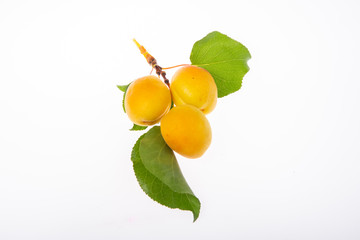 fresh apricots with leaves isolated background