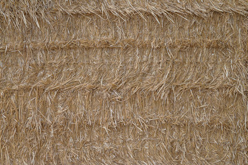 Beautiful bale of straw background. Space for text