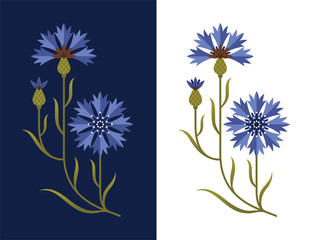 Stylized cornflower illustration