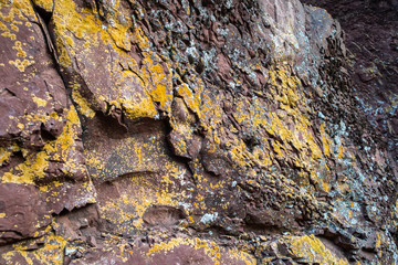 Natural stone with yellow lichess like a wallpaper or background
