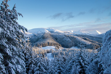 Norwegian winter landscape with white mountains and spruce covered in snow