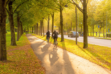 Low autumn sun over a bicycle road