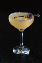 Martini cocktail  with different Olive, purple drink