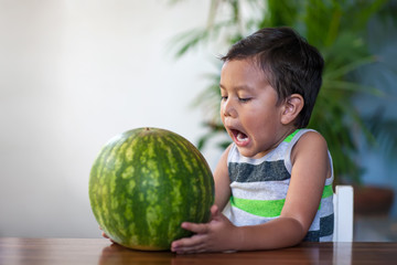 Fototapeta premium A toddler holding a ripe watermelon who is eager to bite into the low-calorie fruit during summer.