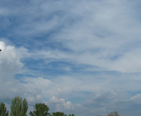 Obraz premium clouds over the trees